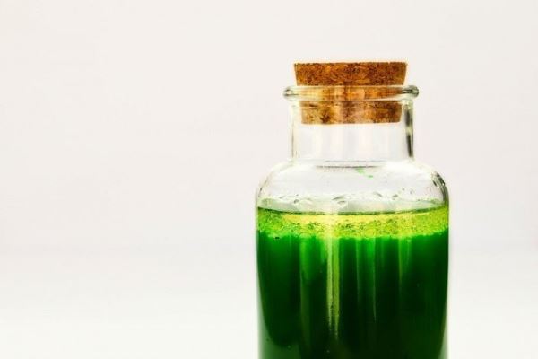 «Зеленый эликсир»: нутрициолог объяснил, в чем польза жидкого хлорофилла