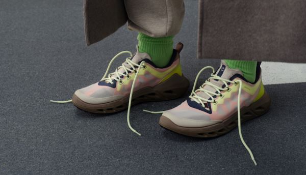 Ecco выпустил коллаборацию с парижским дизайнером Наташей Рамсей-Леви